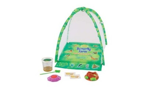 Superior Preschool Educational Set